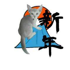 こねこ☆すたんぷ  4