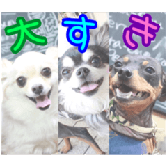 Pleasantdailylife