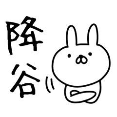 Furuya san Rabbit