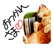 Good work cat