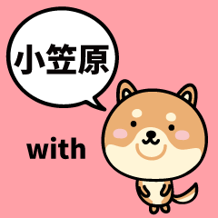 Ogasawara with Shiba