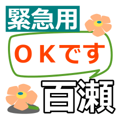 取急ぎ返信用【百瀬,ももせ,momose】専用