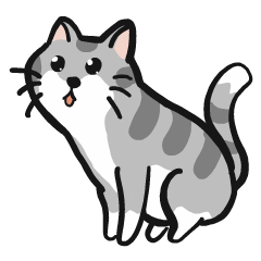 gray cat 2