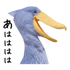 Big bird Shoebill Photo sticker