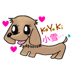 Dakkusufunto