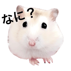Hamster Chikuwa