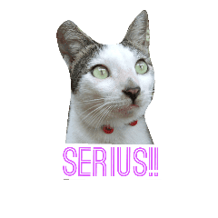 Moo Si Kucing Lucu Stiker Line Line Store