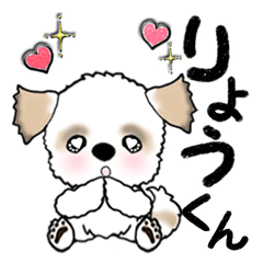 Shih Tzu dog (Mr.RYO) vol.14