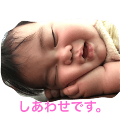 koooootaro