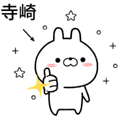 terasaki no Rabbit Sticker