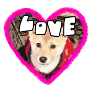 uruchan stamp