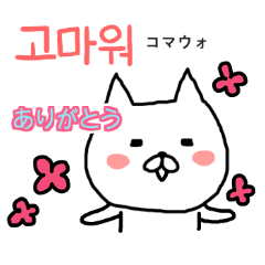 かわいい猫（韓国語と日本語）