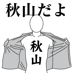 AKIYAMA REVOLUTION 2