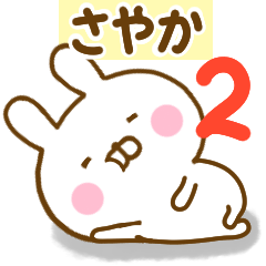 Rabbit Usahina sayaka 2