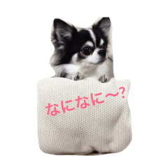 puripurin73