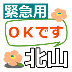 Emergency use[kitayama]name Sticker