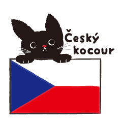 Czech Republic cute black cat 1