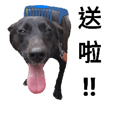 The House Of Love & Mary