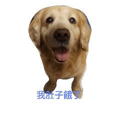 My Love Baby  Dog