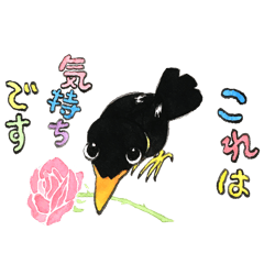 Kyu-chan of the Seiko bird