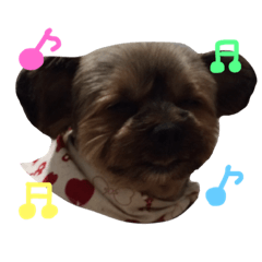 DogDogDogDogDogDogDogDogDog