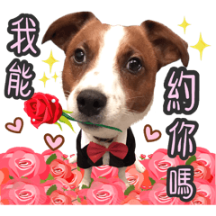 Lo的摩登歷險