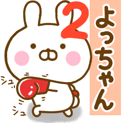 Rabbit Usahina yochan 2