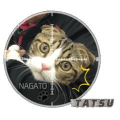 NAGATO with TATSU