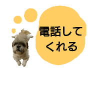 Various words of Shih tzu 2