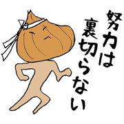 Cheering Team "Vegetabooz" Debut!