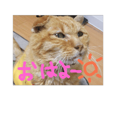 catchan3