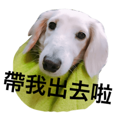 My name is Wawa.