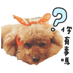 Twiggy的日常生活表情