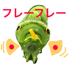 aomushi friends