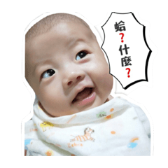 小紅茶寶寶1.0