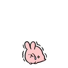 Cute chubby rabbit5