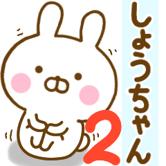 Rabbit Usahina shouchan 2