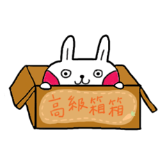 Chun's Rabbits- Rabbits' Daily Life 2