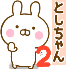Rabbit Usahina toshichan 2