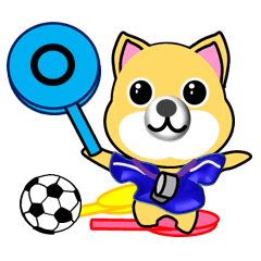 A shiba inu which plays soccer (blue)