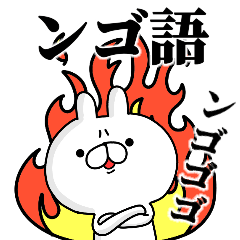 tanuchan NGOO rabbit