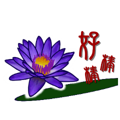 湛湛創意貼圖-蓮花-文字-lotus flower
