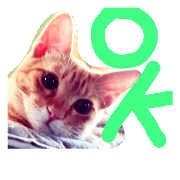 ok cat2