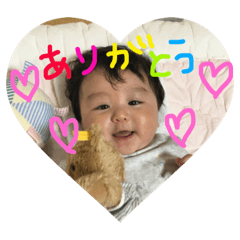 sochan2018