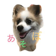 general conventional