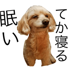 putaro,com