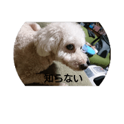 MOKA 0202