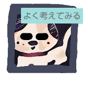 joke dog