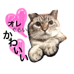 baron is our family forever