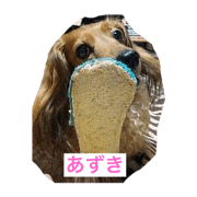 my dog family  Love